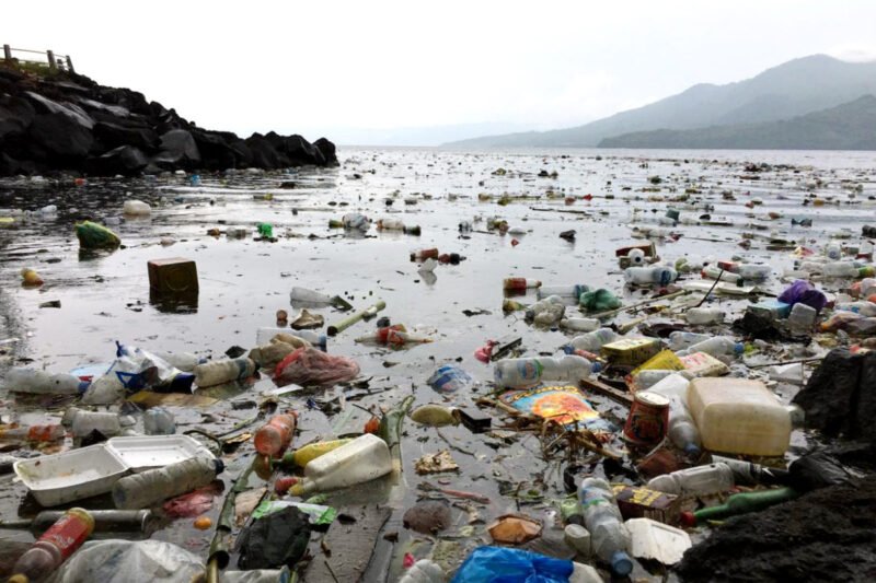 Dampak Plastik yang Mengkhawatirkan pada Ekosistem Laut: Ancaman Tersembunyi yang Membutuhkan Tindakan Mendesak