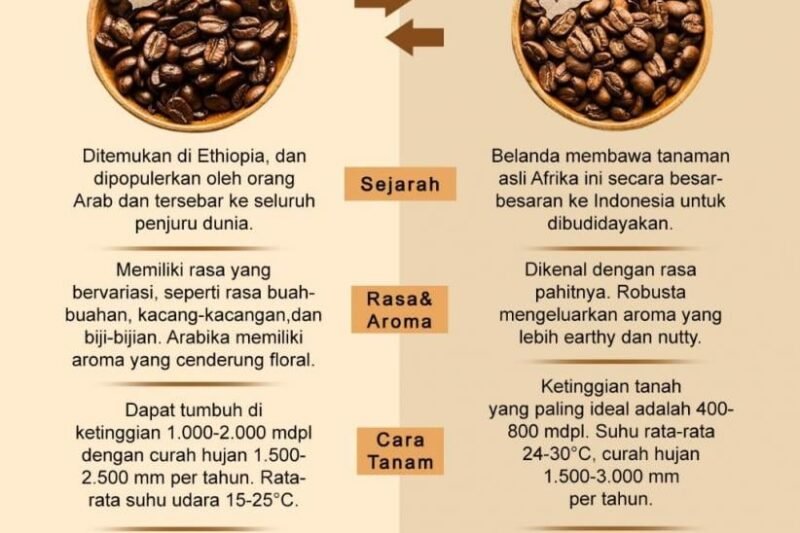 Kopi Arabika vs. Robusta: Membongkar Perbedaan yang Mempengaruhi Cita Rasa dan Pengalaman Anda