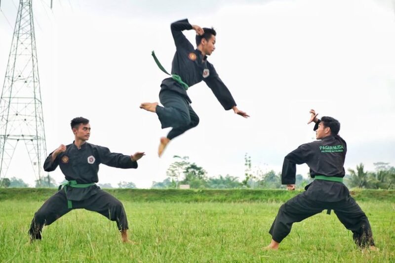 Menguasai Dasar: Panduan Lengkap Teknik Pencak Silat untuk Pemula