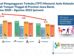 Menelisik Akar Masalah Pengangguran: Tantangan dan Harapan di Tengah Perubahan Zaman