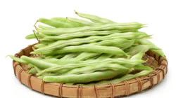 Lima Khasiat Sehat dari Konsumsi Buncis Harian