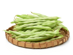 Lima Khasiat Sehat dari Konsumsi Buncis Harian